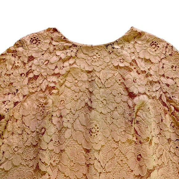 RALPH LAUREN NWT Dress sz18 Lt Pink Fliral Lace Overlay Lined Above Knee Classy - Picture 15 of 16